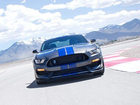 mustang mustang